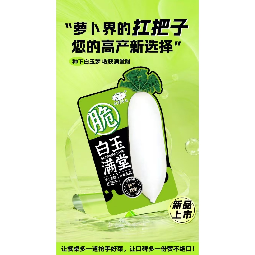 白玉满堂韩国白萝卜种子耐抽薹高产抗病秋季萝卜种子基地萝卜