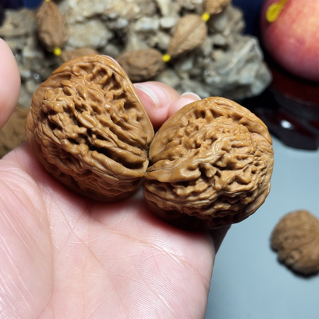 核桃手串/手链精品四座楼天残