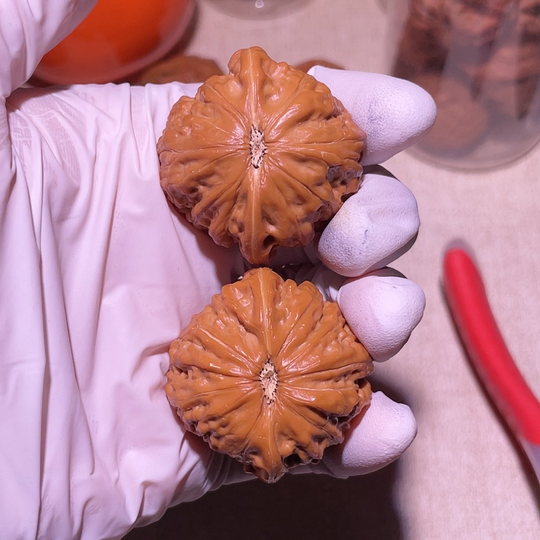 【闪购商品】38铁锤