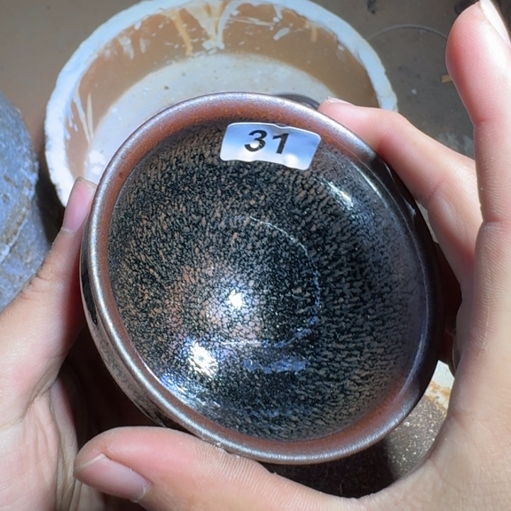 茶盏提出解决农村留守学生入学面临