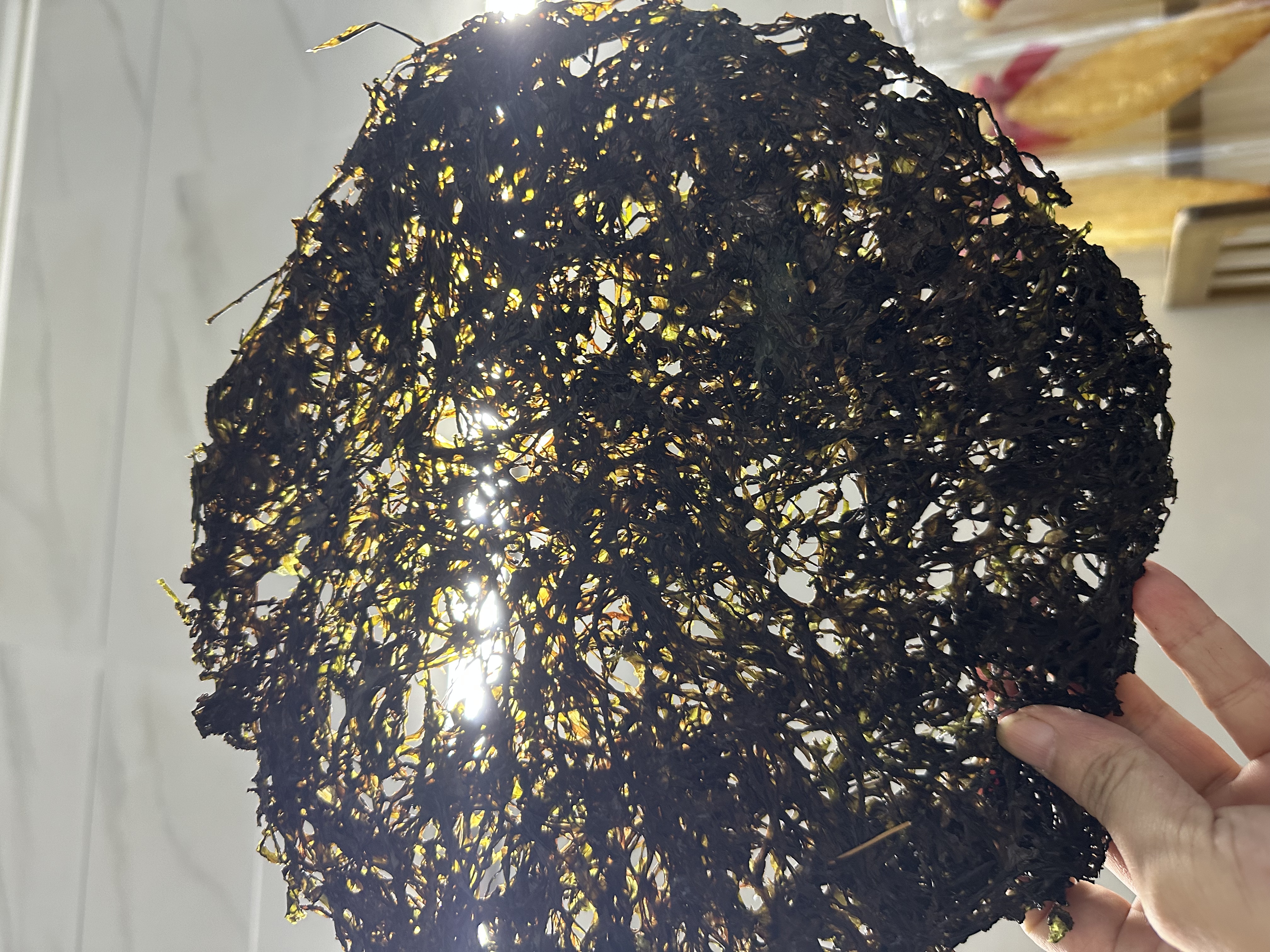 南澳头水绿紫菜免洗无沙幼嫩煲汤干货  