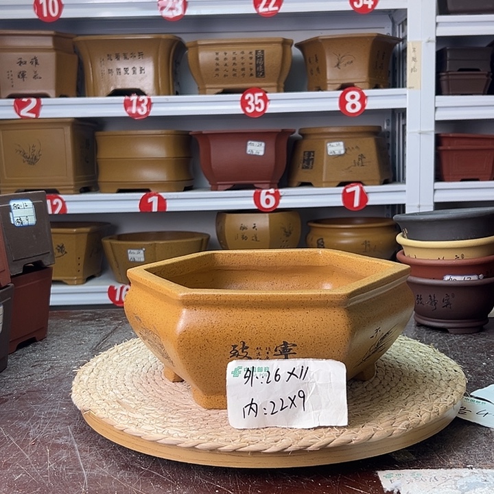 花盆紫砂蛇年大吉