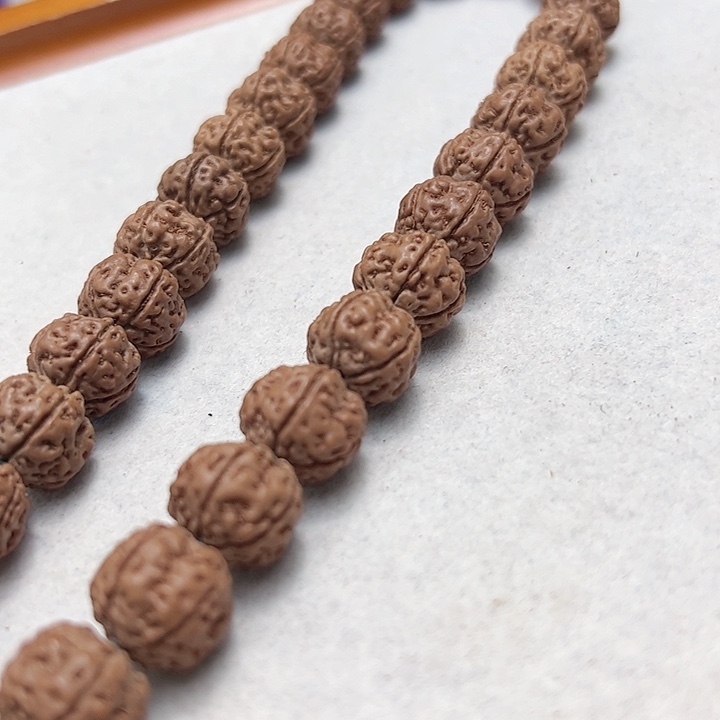 勿里达纯血老树王精品毕业级