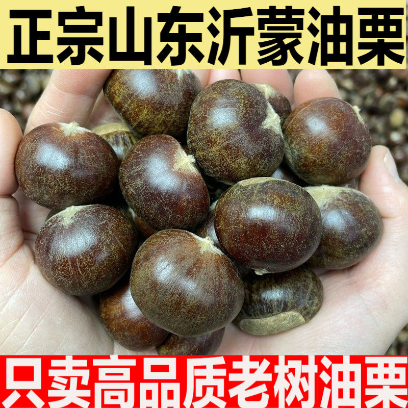 2025年新鲜老树野生板栗山东沂蒙山生板栗粉糯香甜毛栗子油栗粟子