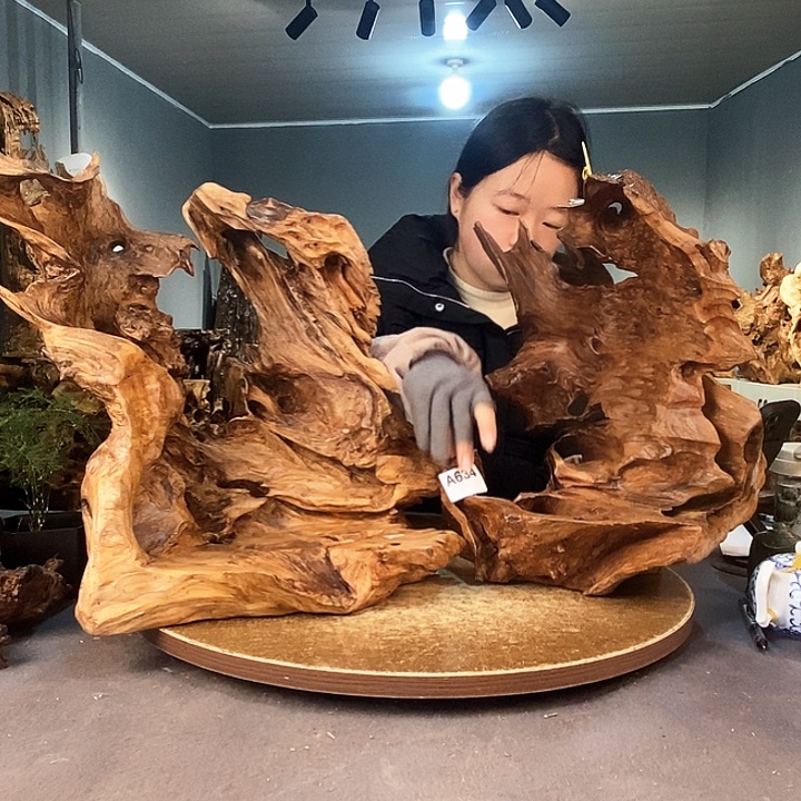 茶盏六****一634株木的随行的根艺