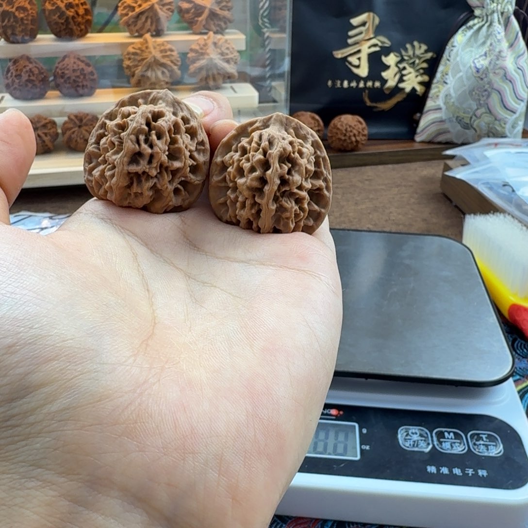 吊坠龙脊菩提秦岭闷尖狮子头33  605