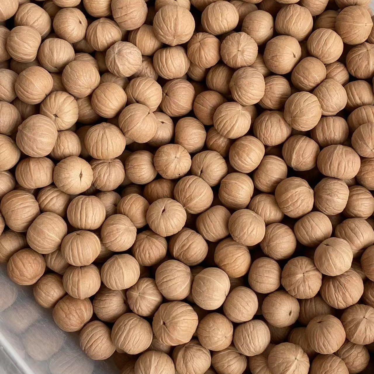猴头核桃400粒装