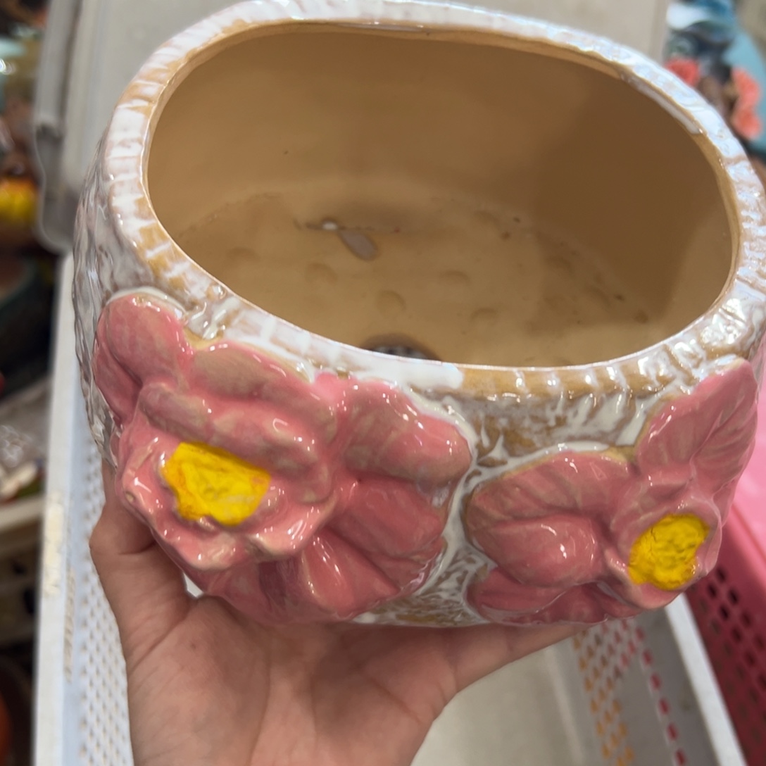 花盆拍满20元发货退款拉黑