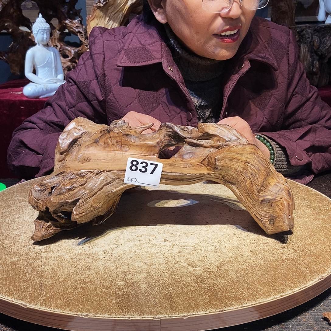 周***收837。株木随行根艺