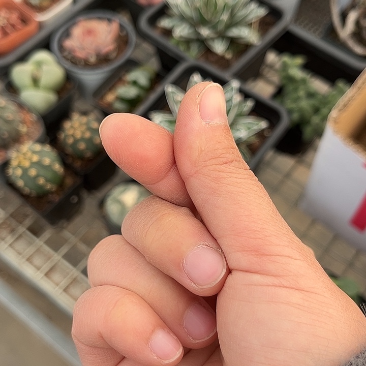 我也不知道我为什么要