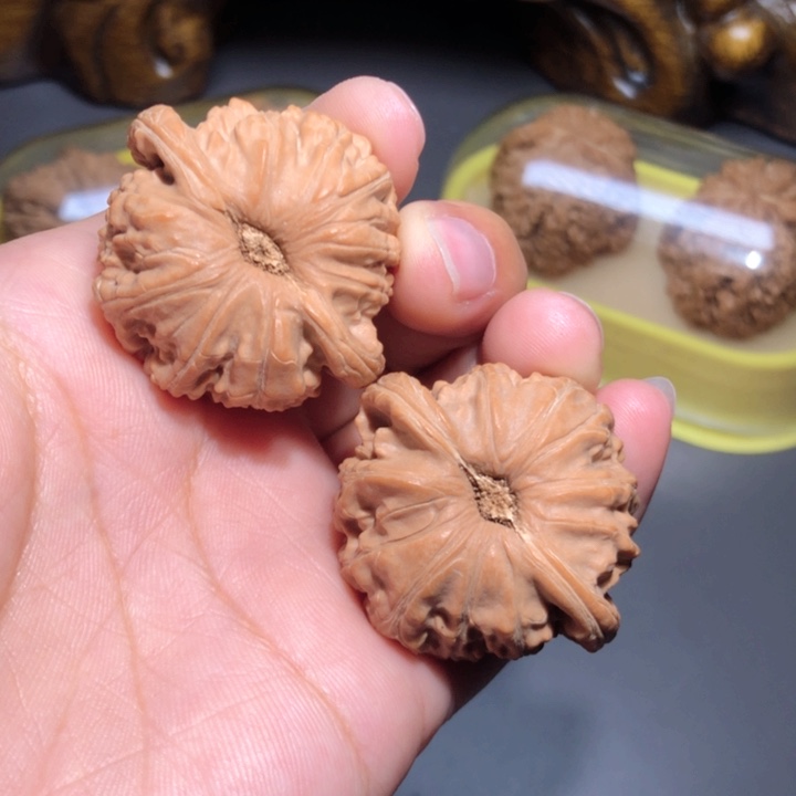 文玩核桃把件38.5白狮子