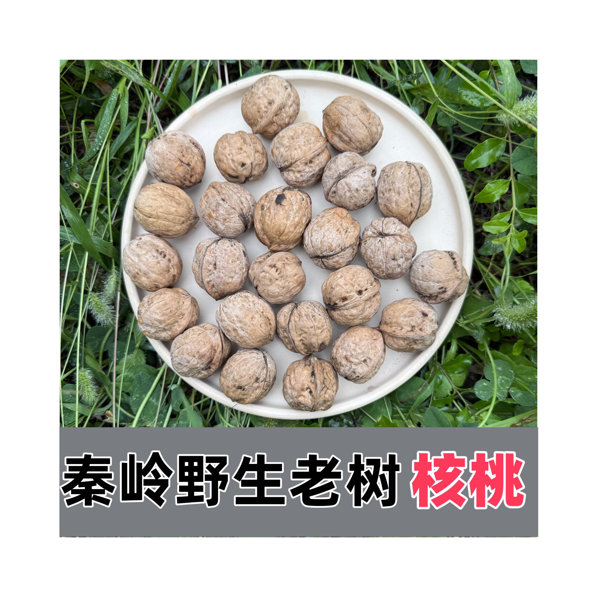 秦岭山区野生山核桃2025新货 干货核桃