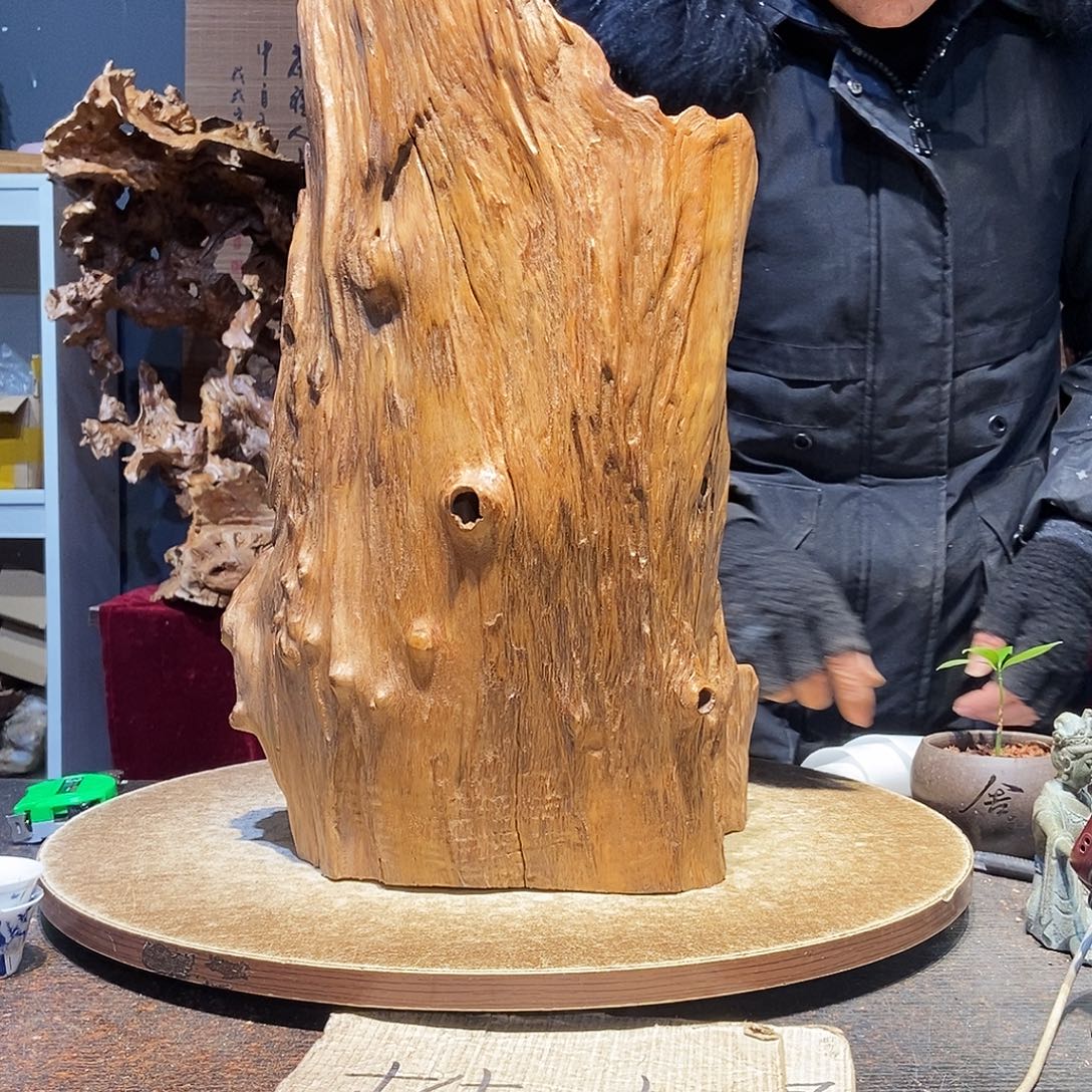 891。株木随行根艺