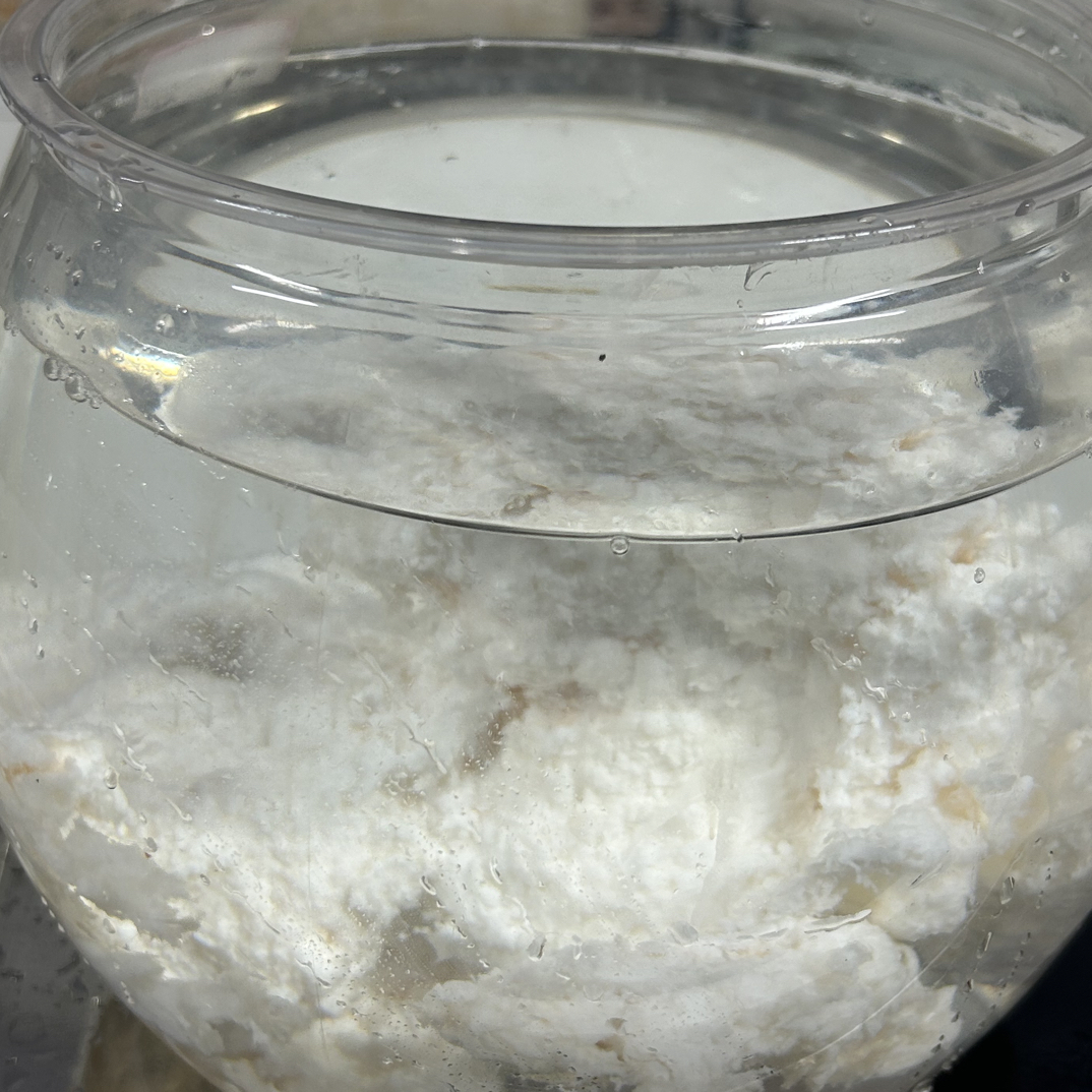 长白山纯天然石太岁精品2.3斤摆件