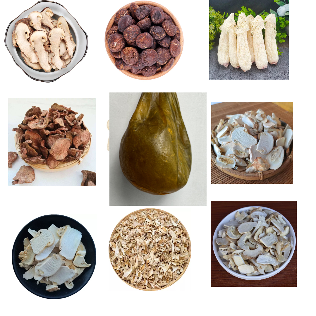 山货特产专属金丹菇