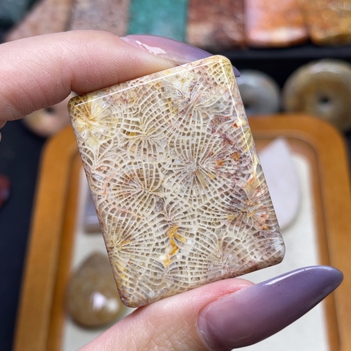 未镶嵌吊坠硅化珊瑚（珊瑚玉）