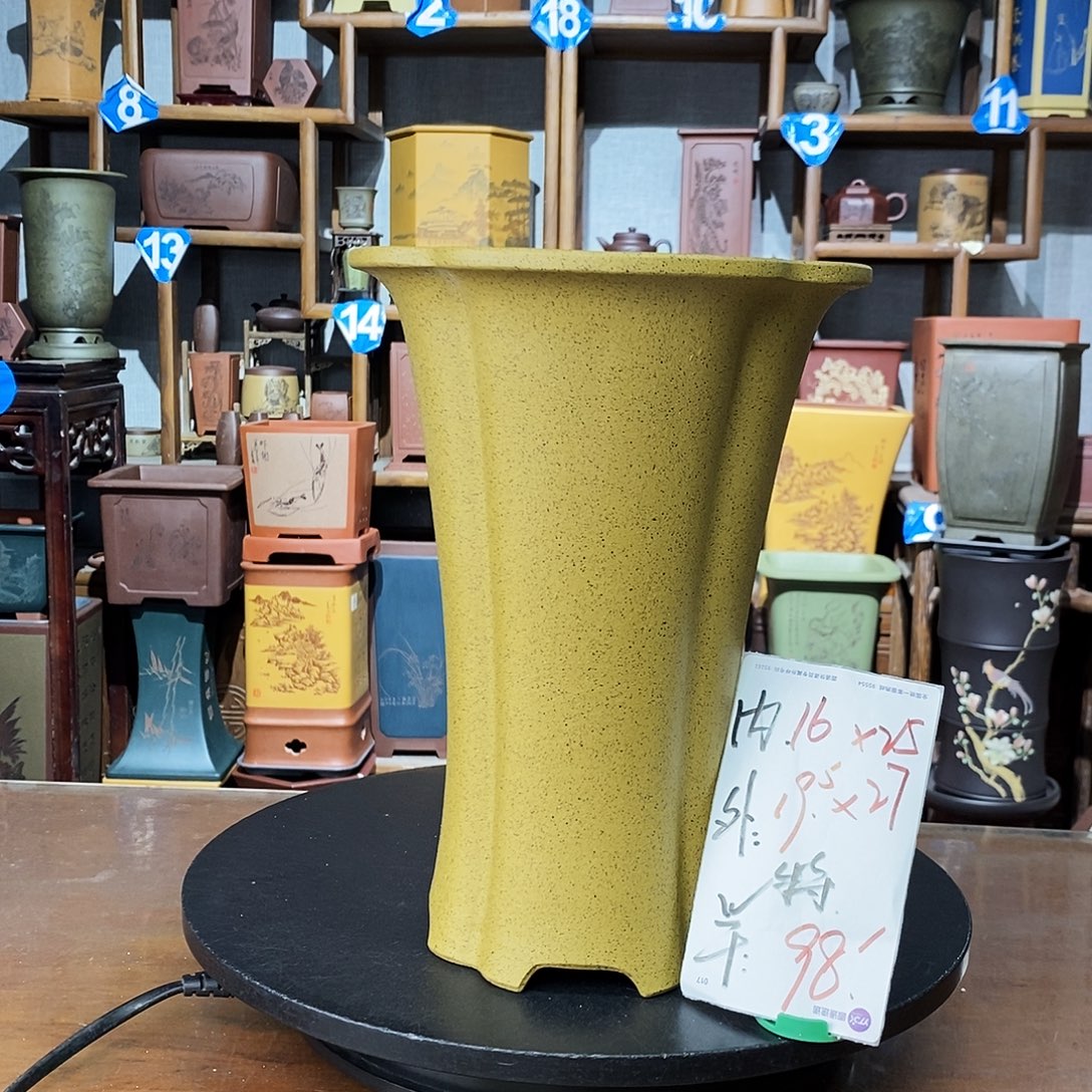 花盆紫砂黄金芝麻段特价