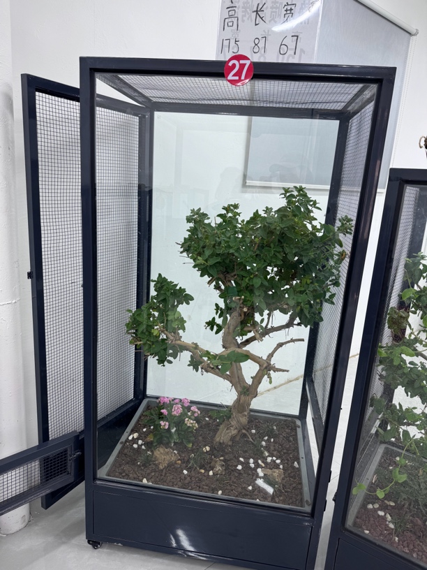 高175长87宽67生态鸟笼