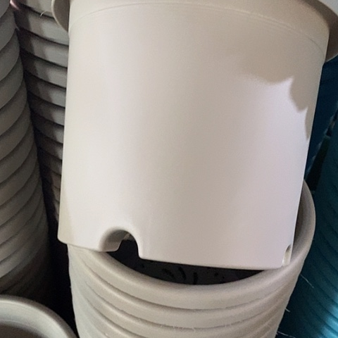 树脂四季3号微瑕灰白无托10个