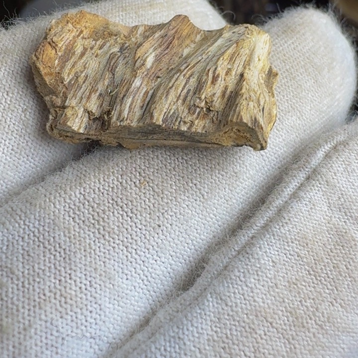 沉香沉香枕百年虎斑棋0.95克