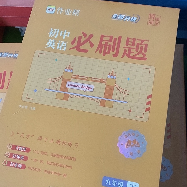 初中英语必刷题九年级下册