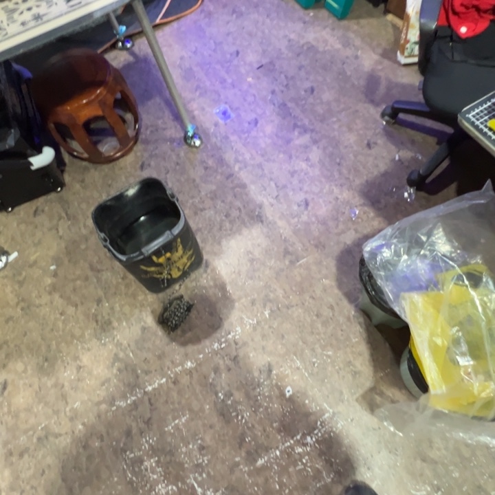 ?****C77的1.2.3各一只，50长