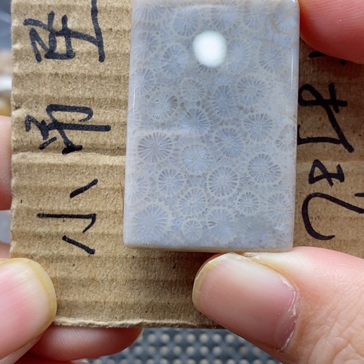 硅化珊瑚（珊瑚玉）颈饰未镶嵌