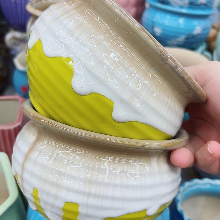 多肉植物陶瓷花盆