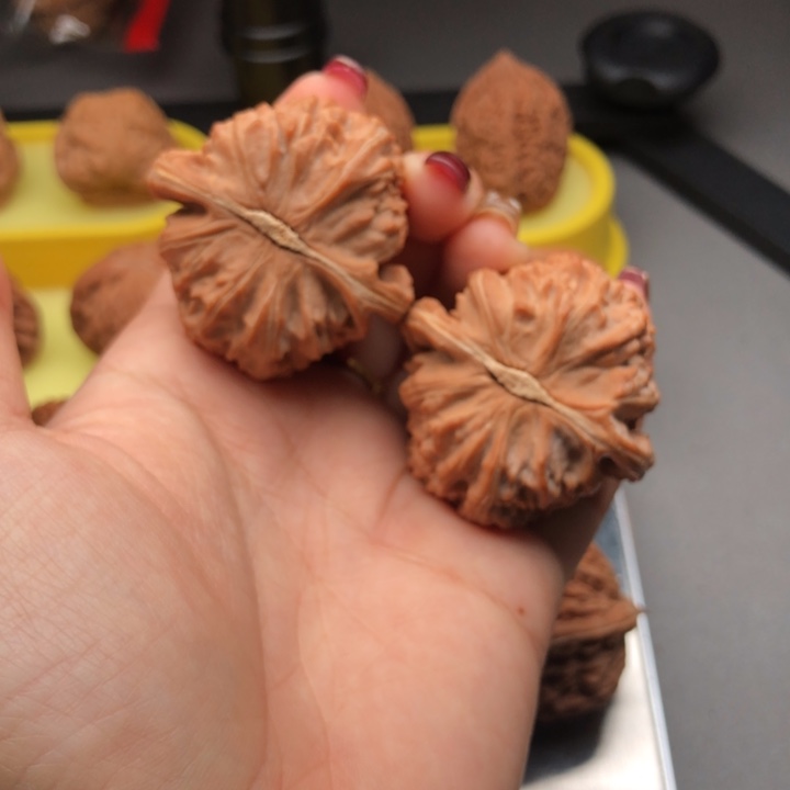 《***《把件文玩核桃43全品白狮子