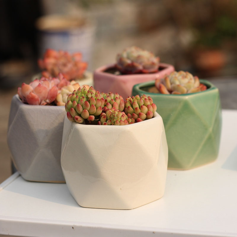 多肉花盆陶瓷小花盆可爱个性创意植物肉宿舍ins简约拇指盆