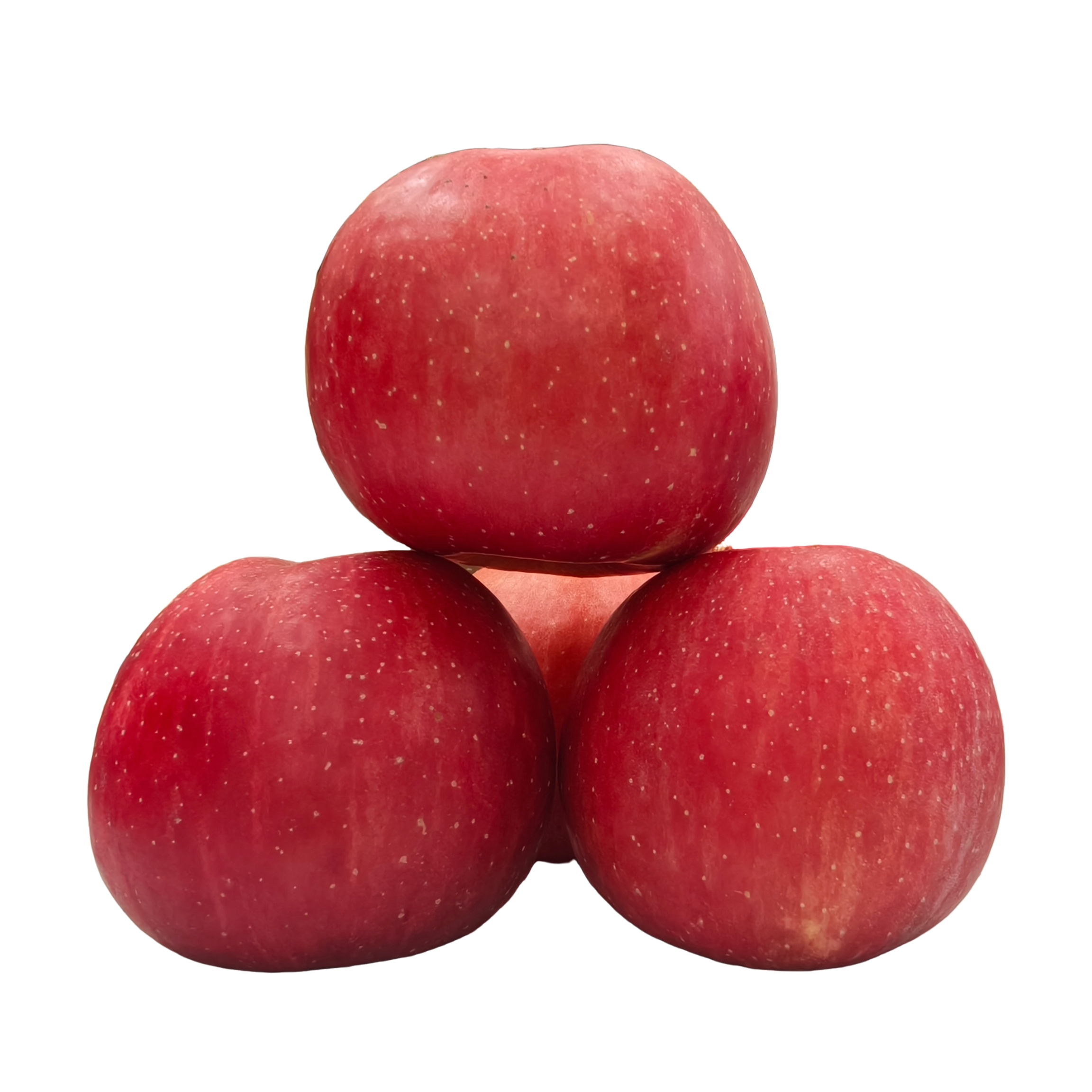 陕北榆林绥德山地苹果多汁脆爽