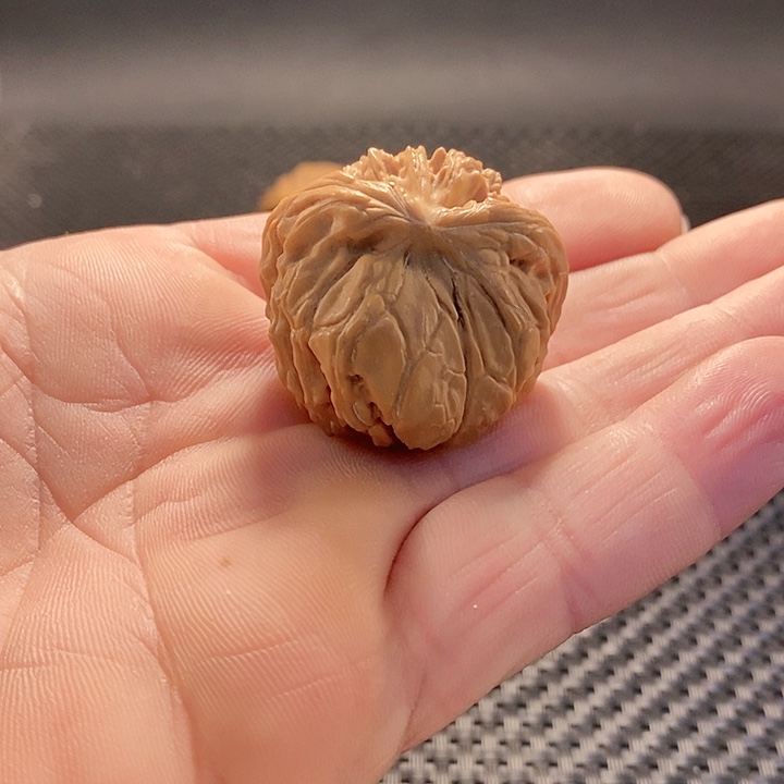 把件文玩核桃天地蛇头