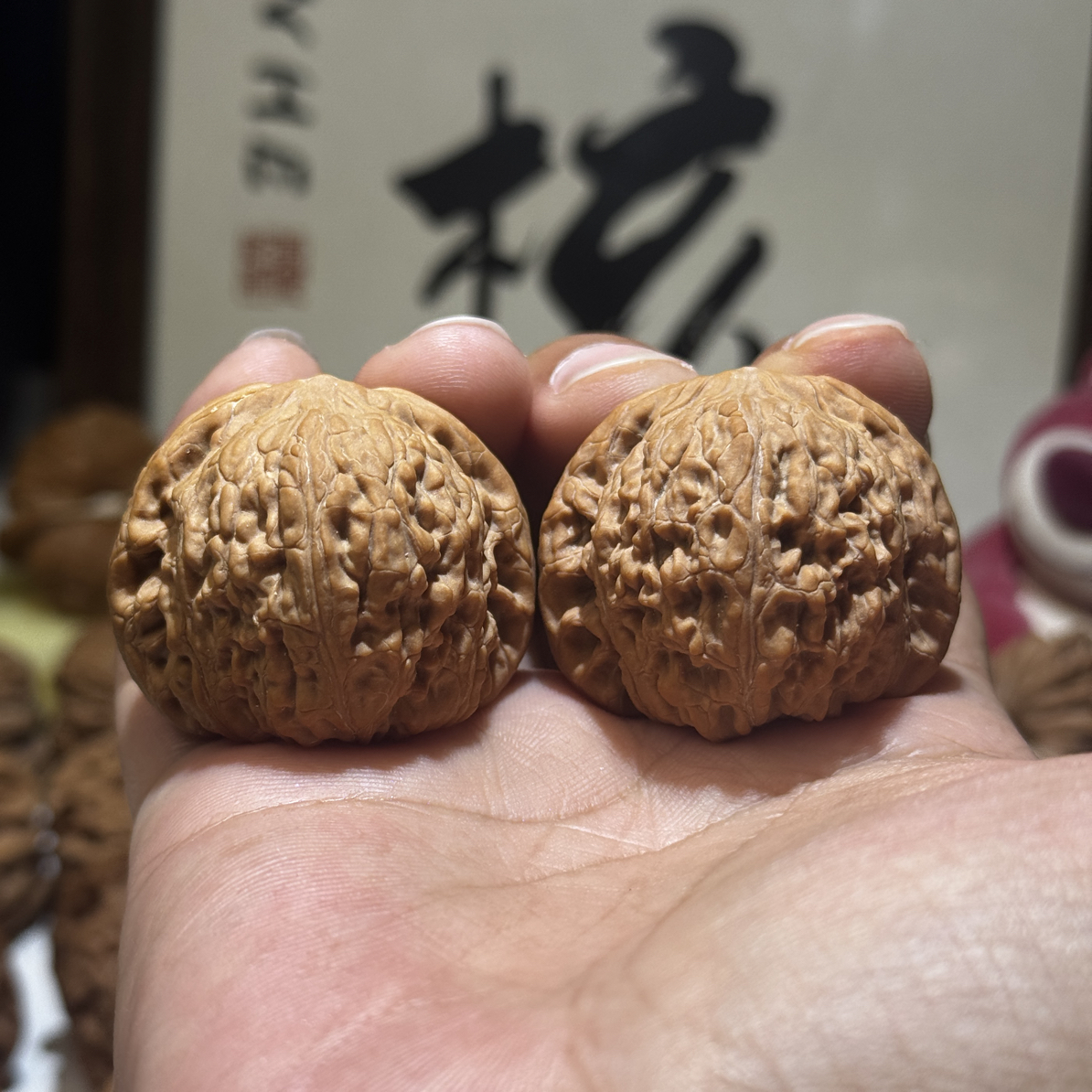 40尺寸泥鳅背核桃