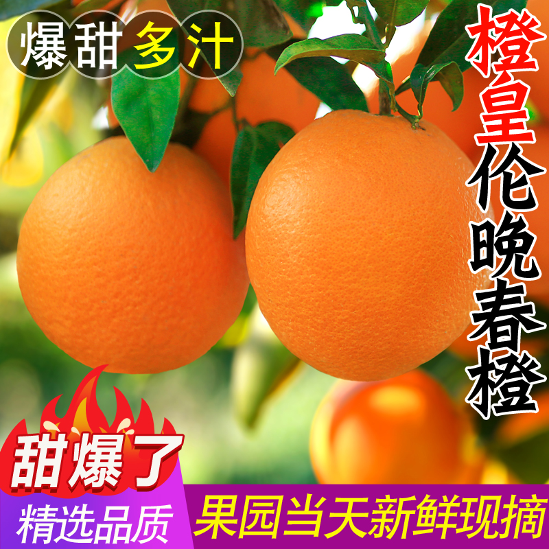 伦晚脐橙子新鲜水果当季整箱5/9斤秭归冰糖橙超甜现摘果冻橙大