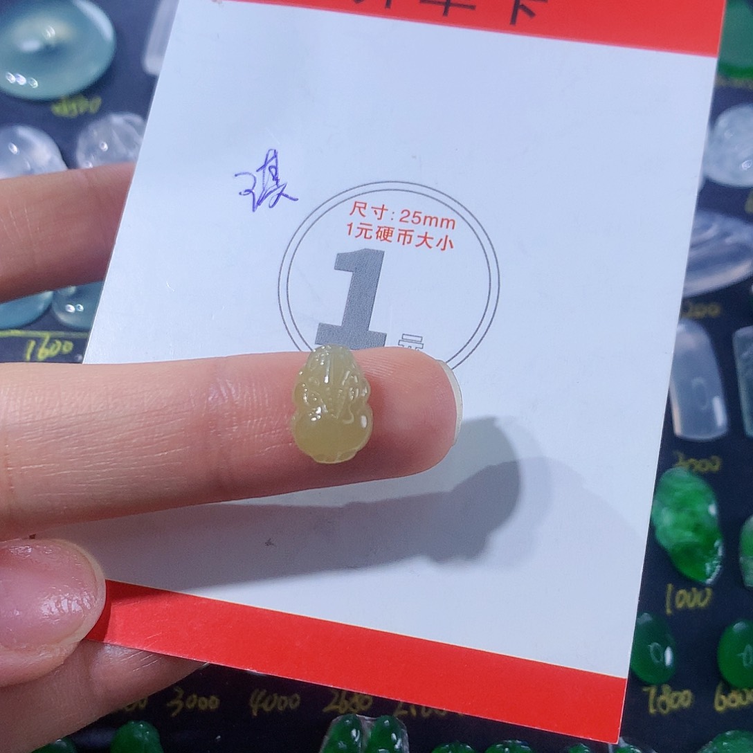 【闪购商品】翡翠颈饰未镶嵌貔貅