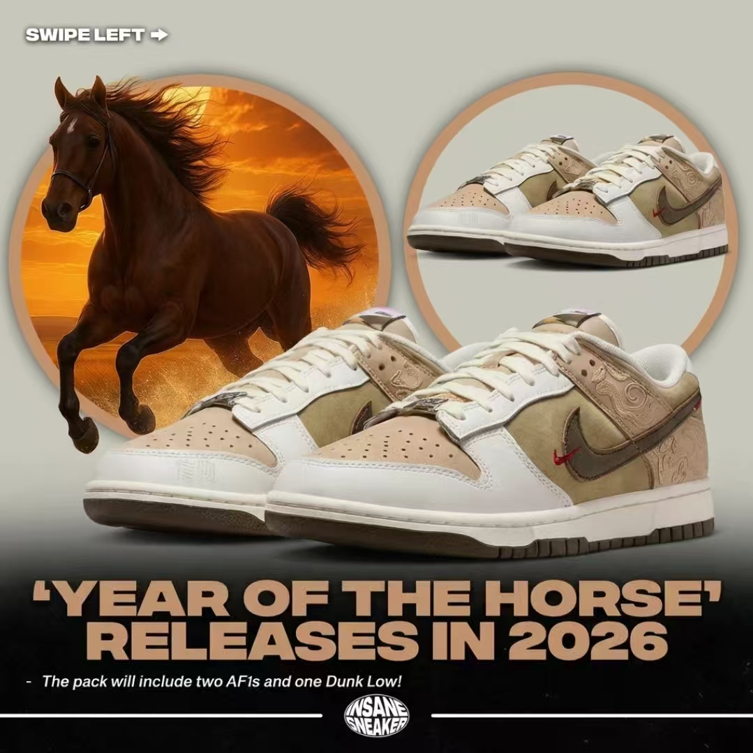 NIKE耐克男子NIKE DUNK LOW休闲鞋IQ1118-220