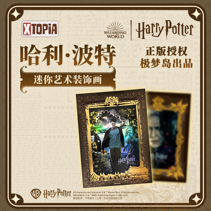 正版周边极梦岛联名哈利波特盲盒迷你艺术装饰画收藏色纸