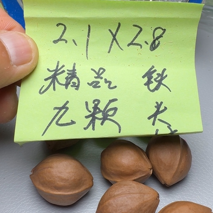 橄榄核手串一**着橄榄核6666