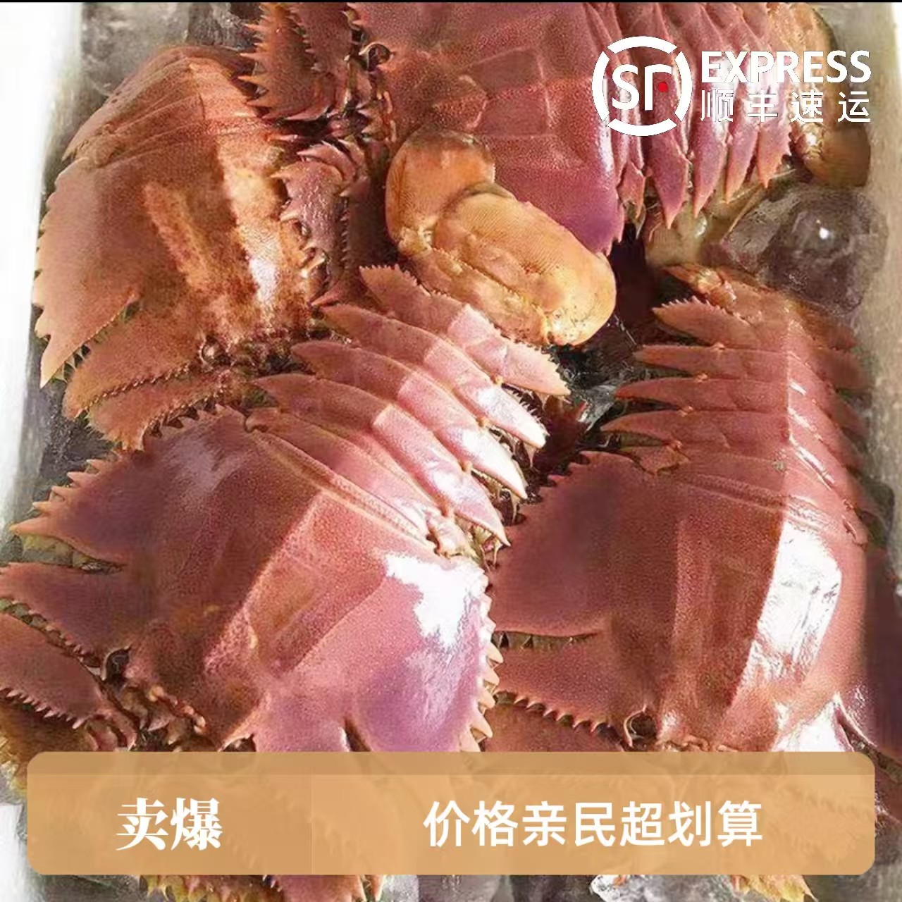 【产季优惠中】码头发 琵琶虾 2斤 九齿扇虾 大龙虾 鲜活冻 海鲜虾
