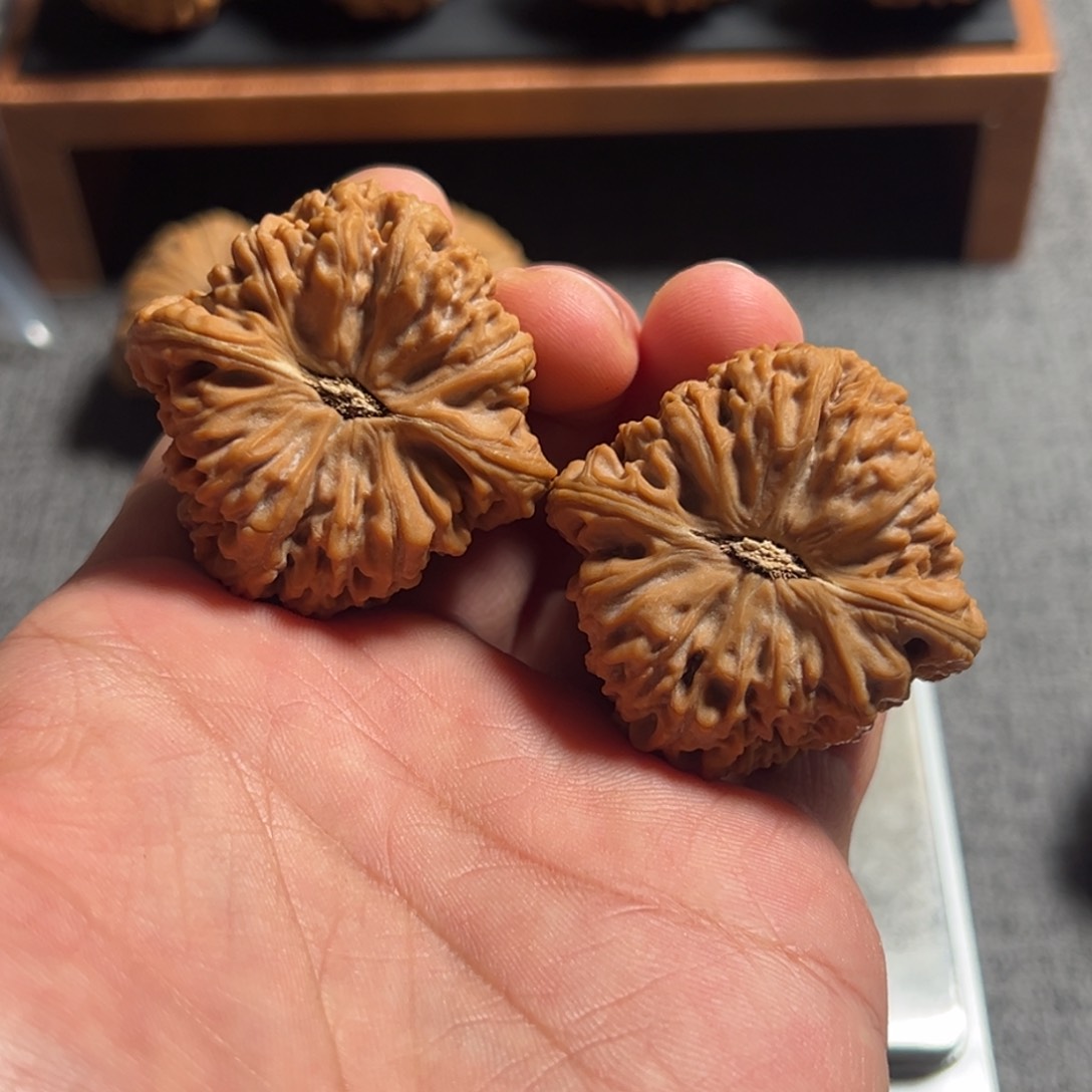 文玩核桃把件w****r41南疆