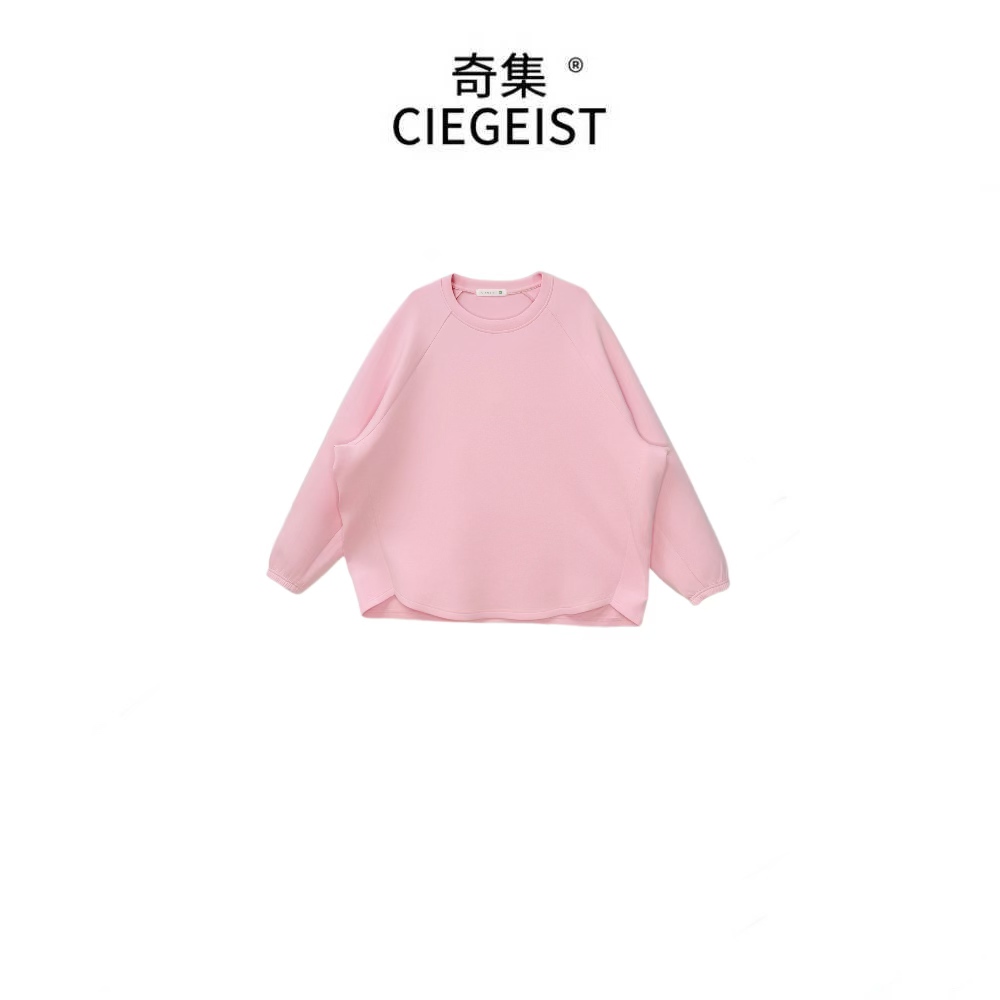 2025秋冬设计师款宽松大版加厚简约百搭纯色长袖圆领卫衣2164