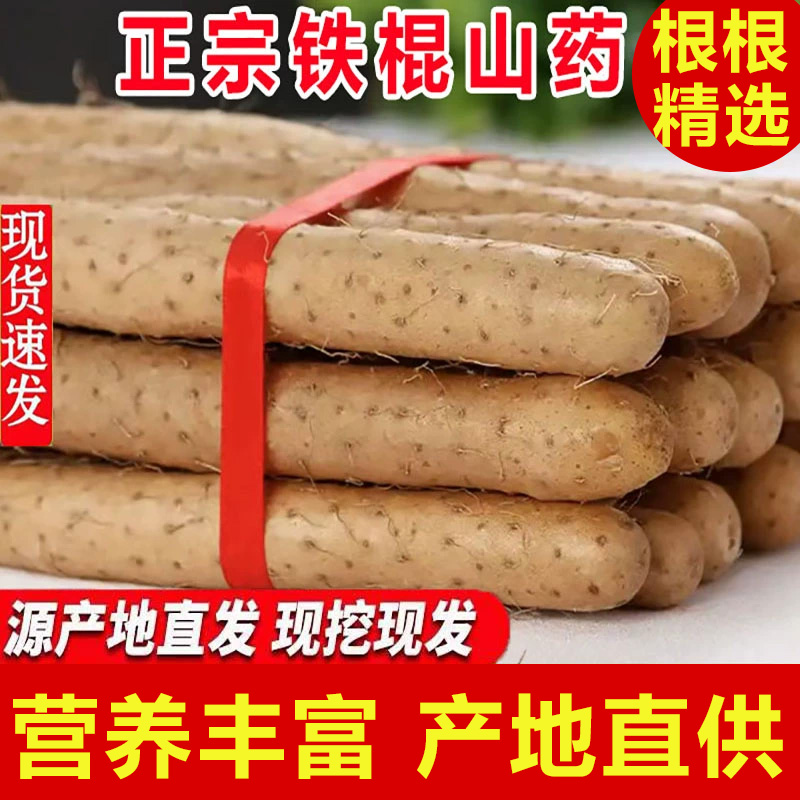 精品礼盒装正宗铁棍鲜山药软糯香河南焦作垆土淮山药新鲜长辈送礼