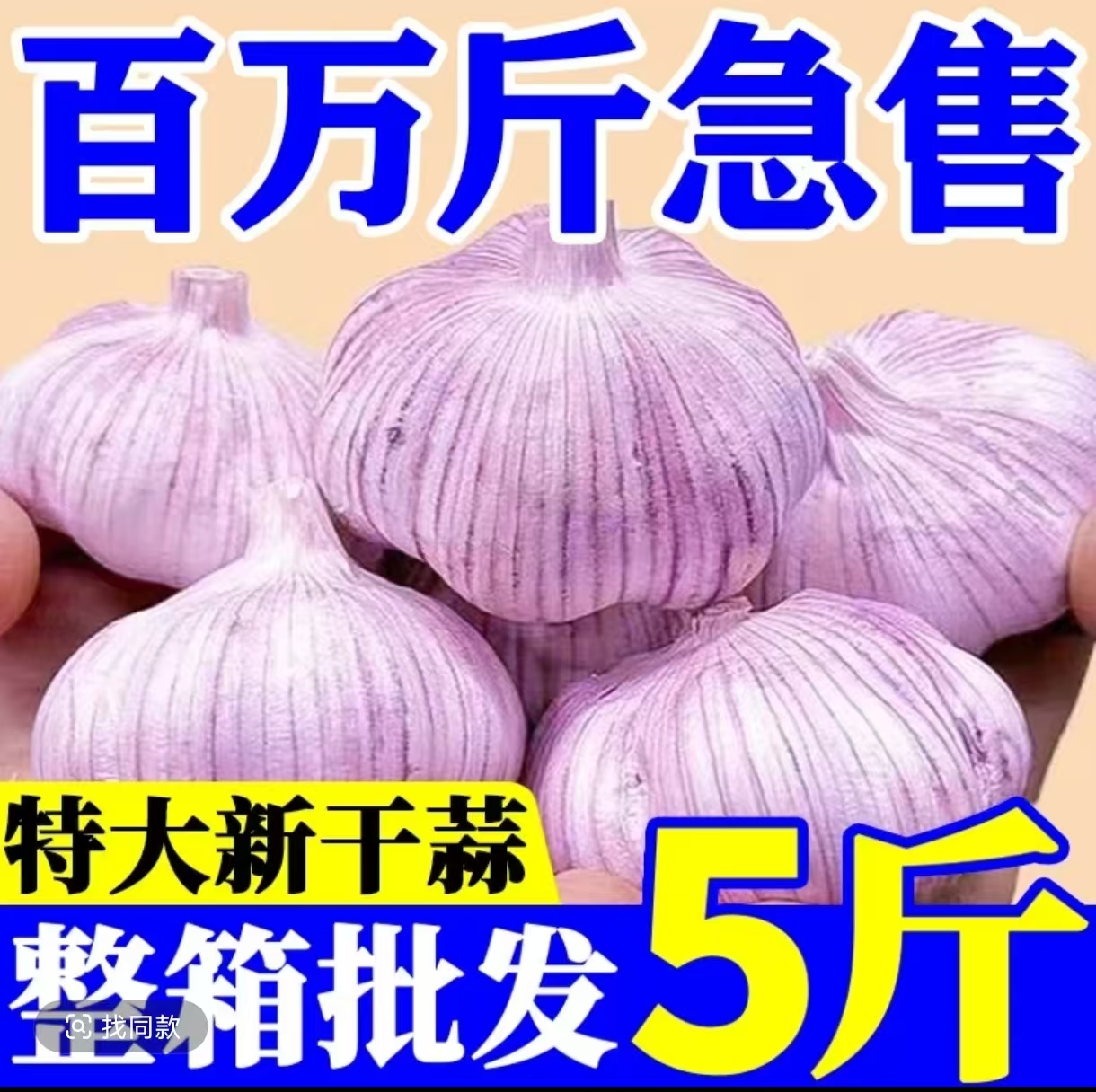 2025新蒜干大蒜紫皮大蒜多瓣大蒜河南大蒜整箱大蒜批发