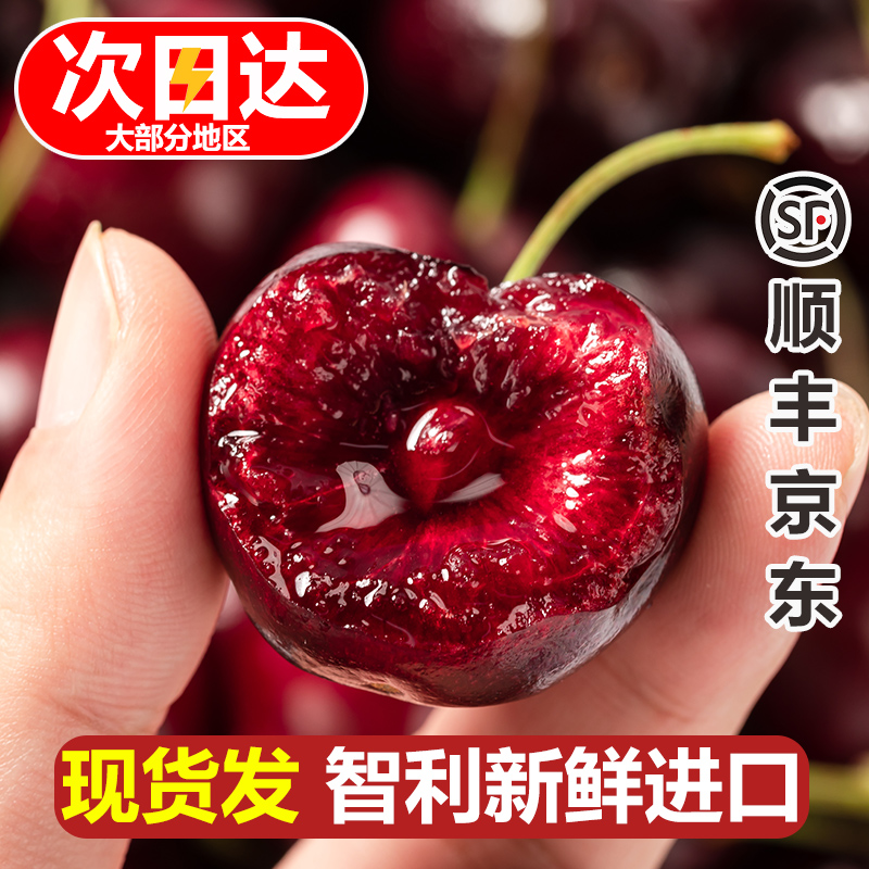 【蕾姐精选4J】智利进口车厘子海运5斤 内附果径卡