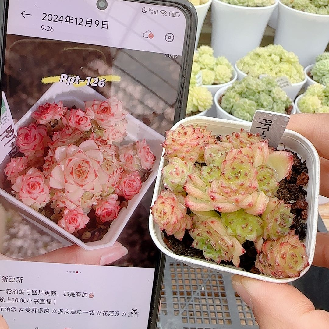 1027-52（ppt-126）优选