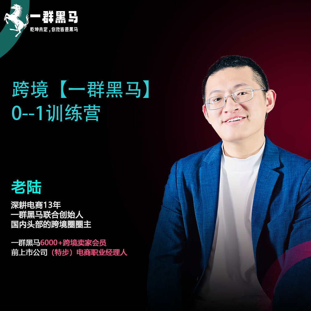 跨境【一群黑马】0-1 训练营  （老陆亲自JIAO学）DP