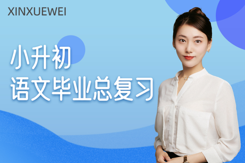小升初课程语文总复习课专项训练视频教程试题课件电子版