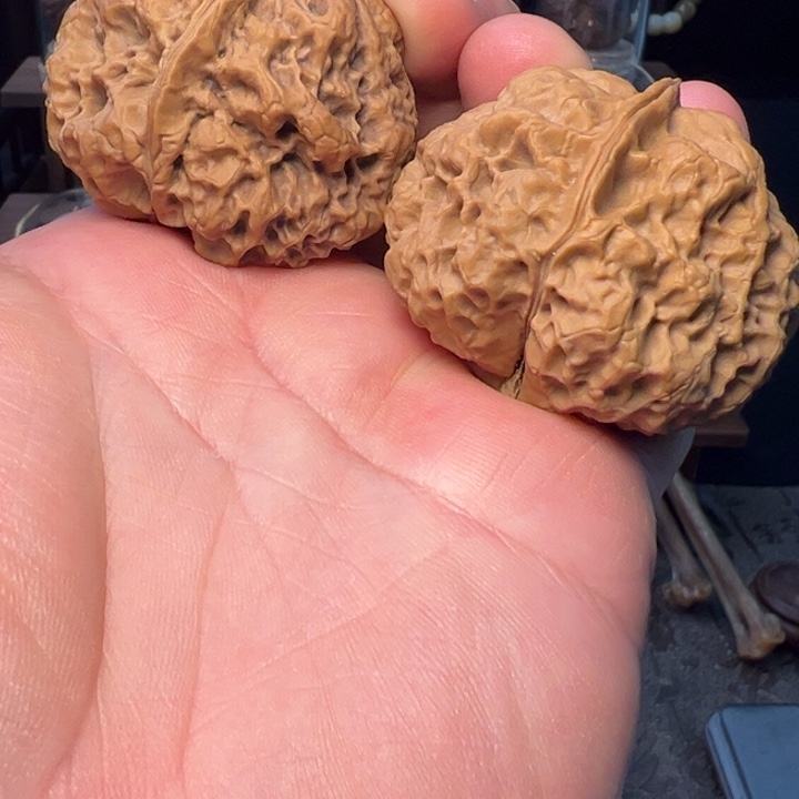 文玩核桃把件壬寅金蟾45mm