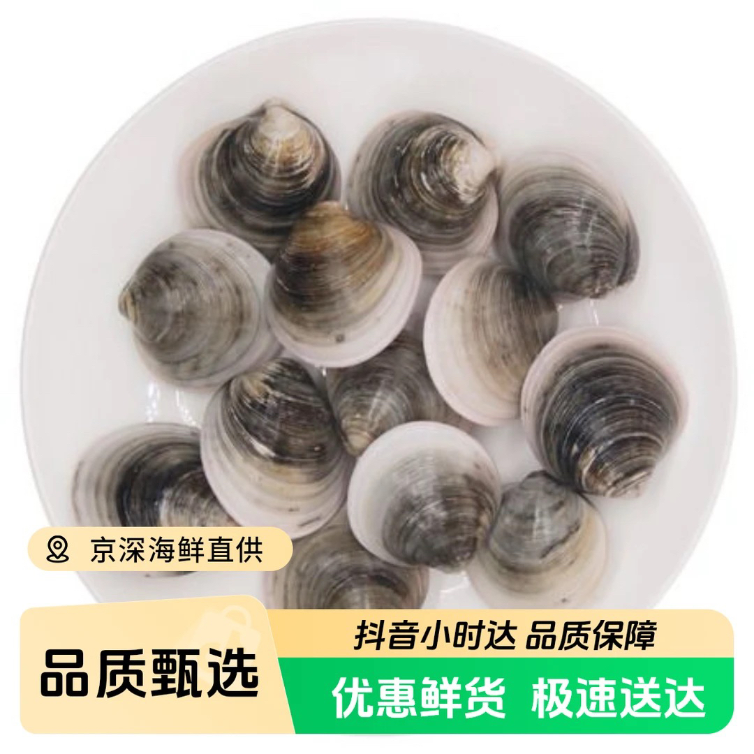 鲜活 青蛤 500g/份