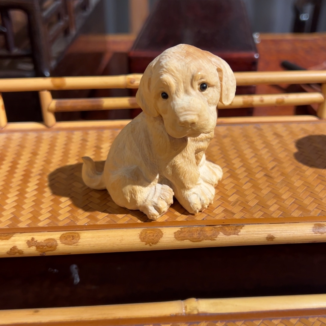 成套家具乌木类黄杨木拉布拉多